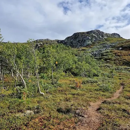 Gaustablikk, 3 Soverom, Fri Utsikt Til Fjell Og Innsjo アパート