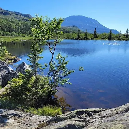 Gaustablikk, 3 Soverom, Fri Utsikt Til Fjell Og Innsjo Gaustablikk