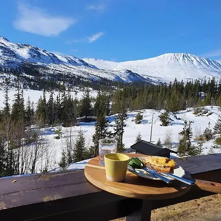 アパート Gaustablikk, 3 Soverom, Fri Utsikt Til Fjell Og Innsjo Gaustablikk